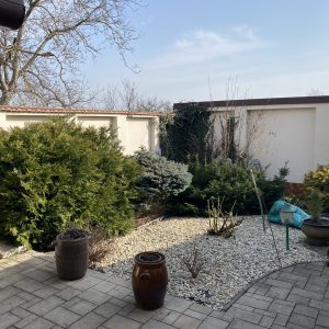 img 9507